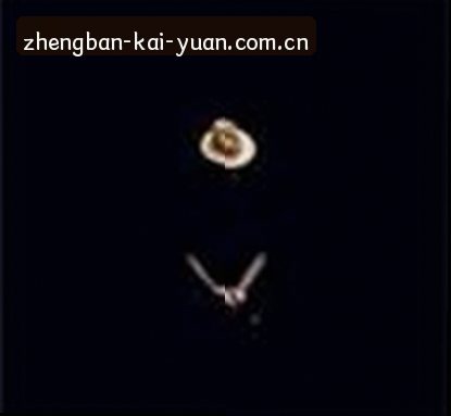 孙磊